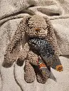20250109_174640.webp